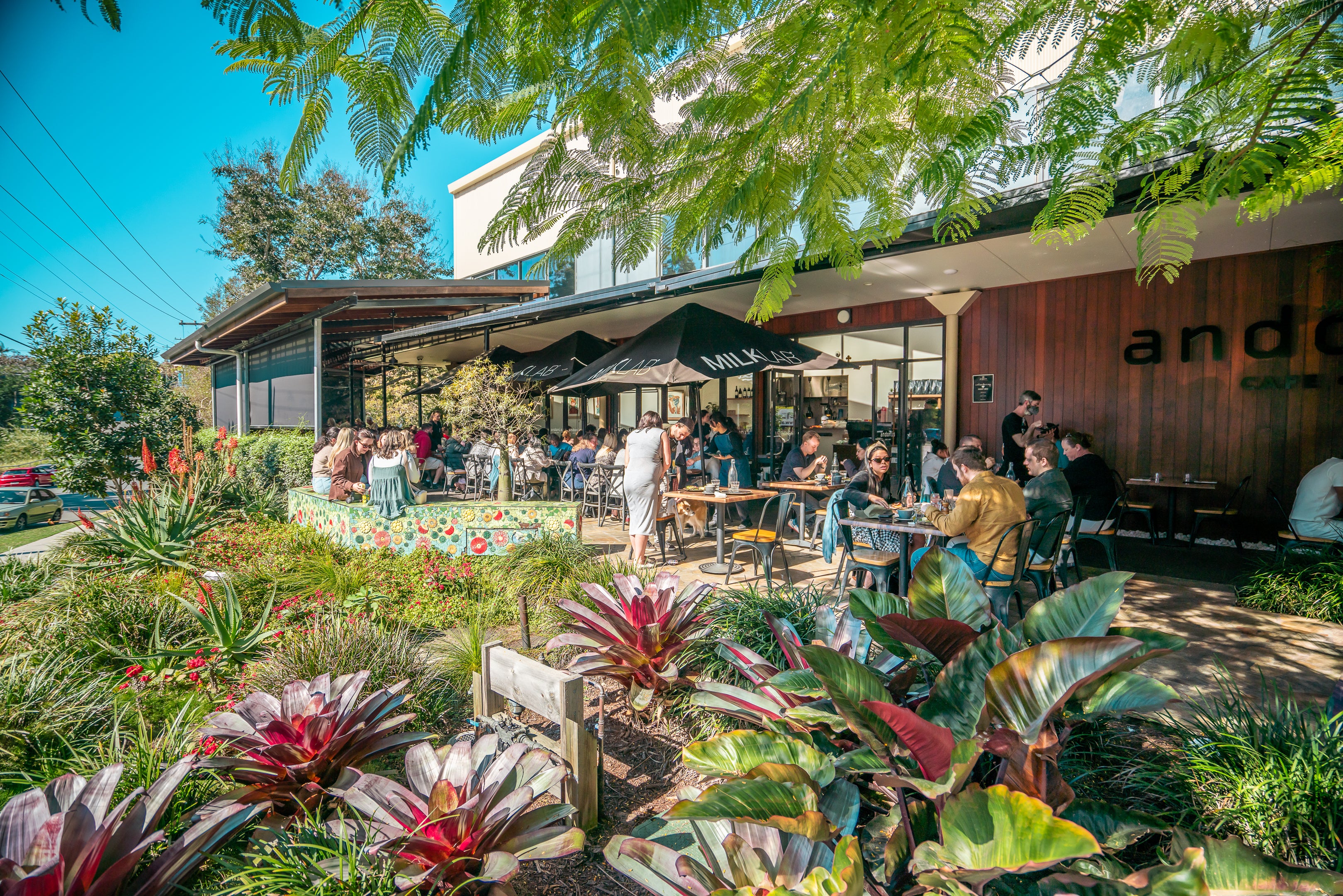 Andonis Cafe Yeerongpilly interior