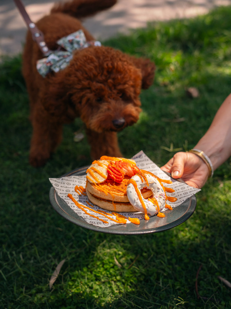 Pupcake Instaworthy stack